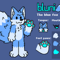 bluni00197