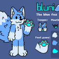 bluni00197 2